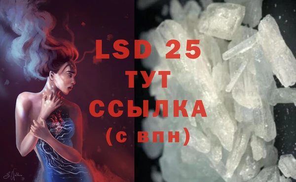 PSILOCYBIN Вяземский