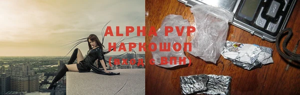 PSILOCYBIN Вяземский