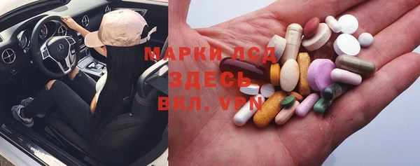 PSILOCYBIN Вяземский
