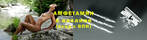 PSILOCYBIN Вяземский