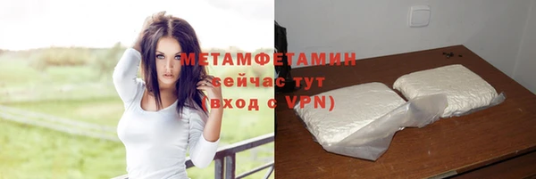 PSILOCYBIN Вяземский