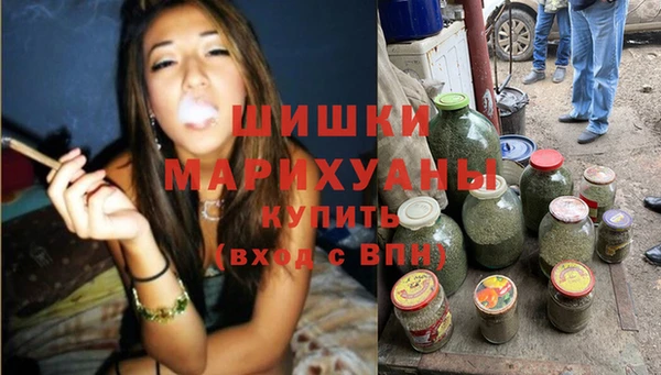 PSILOCYBIN Вяземский