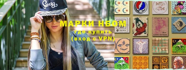 PSILOCYBIN Вяземский