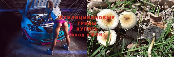 PSILOCYBIN Вяземский