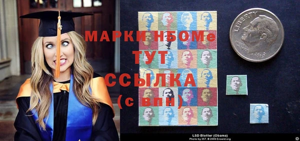 PSILOCYBIN Вяземский