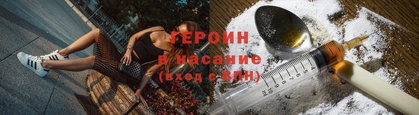 PSILOCYBIN Вяземский
