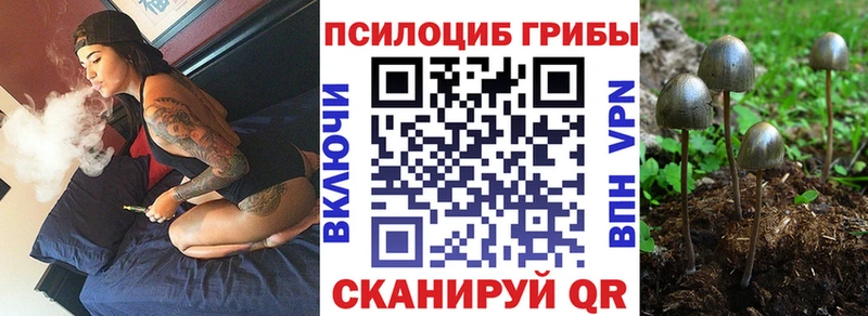 Купить закладки  Нижние Серги  Галлюциногенные грибы Magic Shrooms 